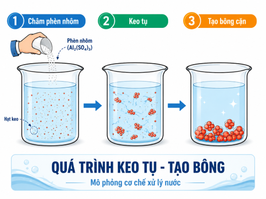 cơ chế keo tụ của phèn đơn trong xử lý nước