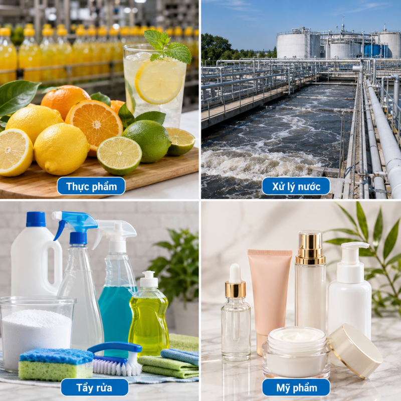 ứng dụng acid citric trong thực phẩm xử lý nước tẩy rửa