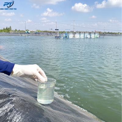 ứng dụng sắt sunfat FeSO4.7H2O trong thủy sản nuôi tôm cá