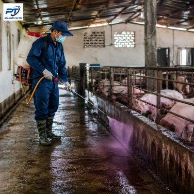 khử trùng chuồng trại bằng thuốc tím KMnO4